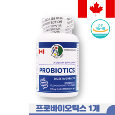 프로젝트21유산균