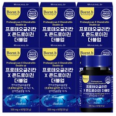 프로테오글리칸 연어코연골 추출물 콘드로이친 더블업, 60정, 6개