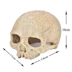 어항 해골 장식 번식 하우스 송진 두개골 조각상 거미 전갈 도마, 1개, 1.Bald skull