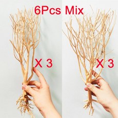 어항 유목 자연 나무 줄기 식물 장식, 6.25-30cm 6pcs Mix, 1개