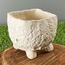 서진농원