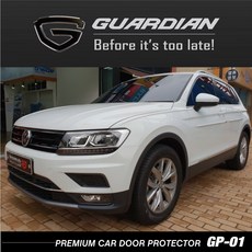 아이오닉5가디언도어가드