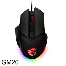mem-gm20fw