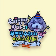 [낭만오리]대두 강아지 생일토퍼 고양이 생일 토퍼 애견 생일 케이크 메세지 생신 돌 백일, 3. 병따개