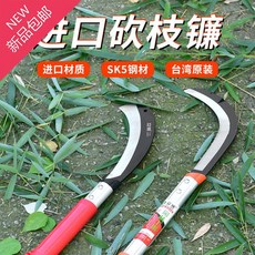 영월비단초