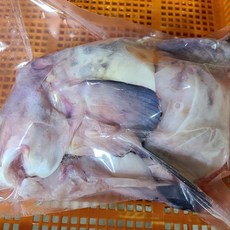 물잠뱅이 물메기 탕용 손질 서해안 자연산, 물잠뱅이1미(냉동)
