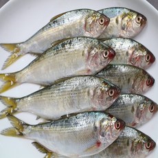 732d04084c086e5d6eede94ccdbe7f4ba3ca9104a4fb3b8a883c179c18d0.jpg