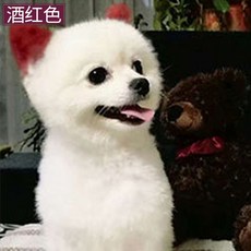 강아지염색약 반려동물염모제 염색크림 반려견 전용염료 롱래스팅 푸들 비숑눈물얼룩제거 파우더, 버건디 100ML (염색도구 증정), 1개