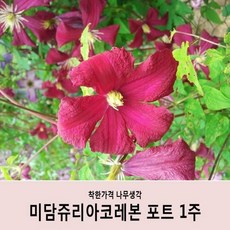 ae9e3c2017e9b65a64e2dec8c3fcc0e94997e99e7889e680b94600c302c5.JPG