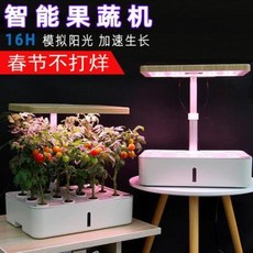 시금치수경재배