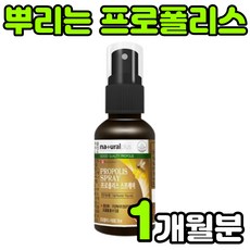 진해양봉프로폴리스스프레이