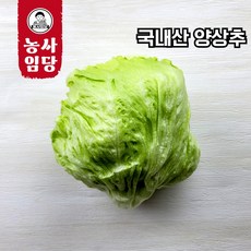 작업 국내산 양상추 가락시장 경매 12통(1박스), 12개