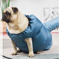 키밍 애견 목욕 드라이룸 강아지 고양이 드라이기, L, L, 1개