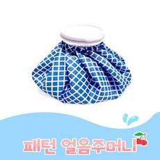프리미엄 냉 찜질주머니 아이스팩 9인치, 9인치_체크블루, 1개