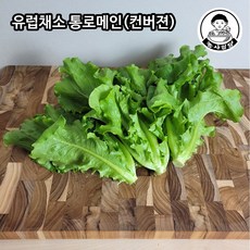 포기로메인