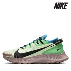 뮤지션페가수스