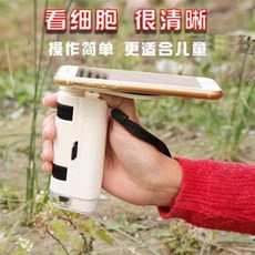 주사전자현미경