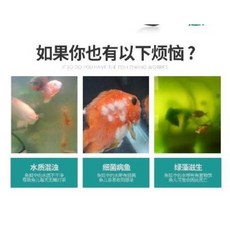 식당용식기건조기