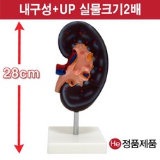 손발모형