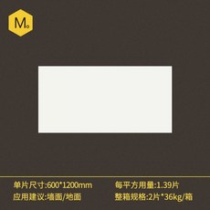 마이크로시멘트