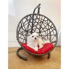 강아지발톱그네