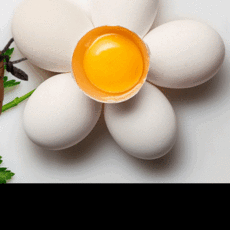 백봉오골계 유정란 자연방사 난각번호1번 오골계알 방목 계란, 40구