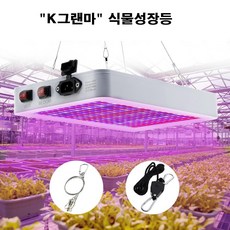 식물성장등