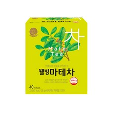 송원 우리차 웰빙마테차 40T, 1개