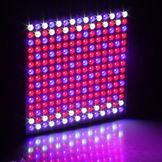 b31dd2f3cbef9615223c66e89122703e82d2fecc79180cde99e9a03e144d.jpg
