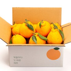 깨비농원 제주 한라봉 2kg, 1박스, 한라봉 2kg 소과(9~11과)