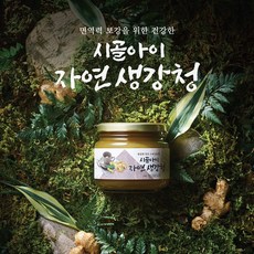 시골아이생강청
