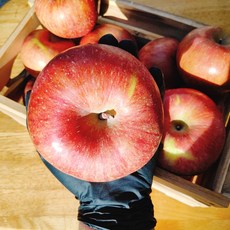 사과마루부사10kg