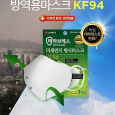 LG생활건강 테라브레스 미세먼지 황사마스크 KF94, 1box, 25매입