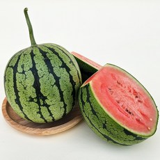 무등산수박-추천-상품