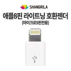 5핀용 호환 8핀 라이트닝 변환젠더 호환젠더, 1개, 블랙