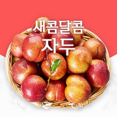 새콤달콤 프리미엄 자두 로얄대석 후무사 왕자두 1+1kg 3kg 5kg, 자두3kg, 2개