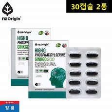 미국 징코 포스파티딜세린 혈행 은행잎추출물 비타민E, 30정, 2개