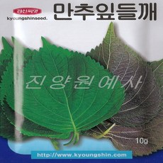ffd8e503557bb6cc3b3e9687d63c0279a23aa888a24babfe16c0a3a90330.jpg