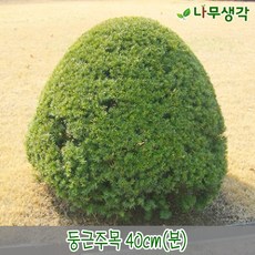8176a7fe8f64310d56bd986cdbf1bac30668be2dc0e1e55577cbcdc09966.jpg