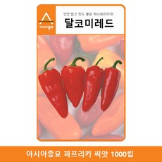 바나나파프리카