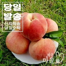 출산딱딱이