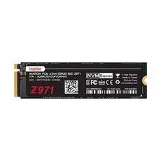 이메이션 Z971 M.2 NVMe (500GB), 선택1, 선택1
