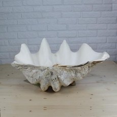 4d173a6a29ce05f56fc9928efeddab5b0b17122e2ddac3e58d36273e8ef0.jpg