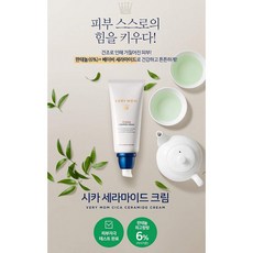 CICACream 시카크림 베리 맘 시카 세라마이드 크림 80g, 1