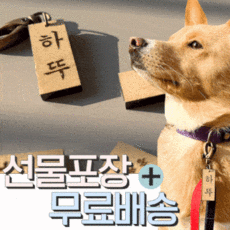 댕댕이가게 주문제작 강아지 고양이 명찰 인식표, 결제시 [필수 추가정보 입력] 란이 활성화됩니다, 한글