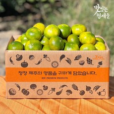 맛있는형제들 제주도 서귀포 노지 감귤 극조생 밀감 가정용 선물용 2kg 3kg 5kg, 5KG 소과