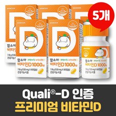 아이구주d1000