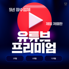 유튜브 프리미엄+뮤직 이용권 1개월/3개월/6개월/12개월