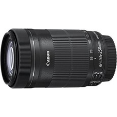 ef-s55-250mmf4-5.6isstm