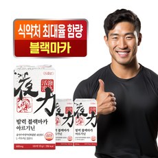 밤력 블랙마카 장어 30.8배 아르기닌 남성활력 야관문, 3개, 120정